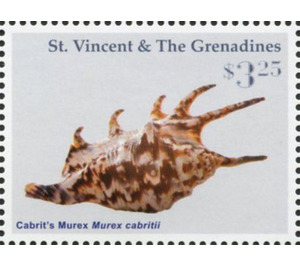 Cabrit's murex - Caribbean / Saint Vincent and The Grenadines 2016 - 3.25