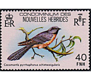 Cacomantis pyrrhophanes - Melanesia / New Hebrides 1980 - 40