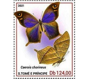 Caerois chorineus - Central Africa / Sao Tome and Principe 2021