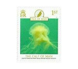 Calf of Man Wart Bank Marine Nature Reserve : Jellyfish - Great Britain / British Territories / Isle of Man 2021