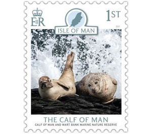 Calf of Man Wart Bank Marine Nature Reserve : Seals - Great Britain / British Territories / Isle of Man 2021