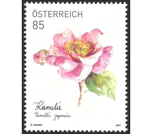 Camellia (Camellia japonensis) - Austria 2021 - 85