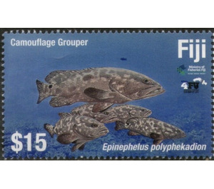 Camouflage Grouper - Melanesia / Fiji 2019 - 15