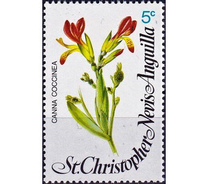 Canna coccinea - Caribbean / Saint Kitts and Nevis 1979 - 5