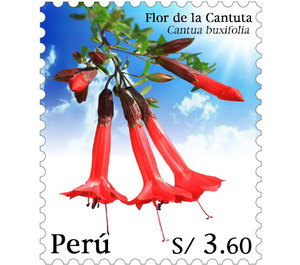 Cantua buxifolia - South America / Peru 2020 - 3.60