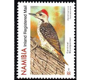 Cardinal Woodpecker (Dendropicos fuscescens) - South Africa / Namibia 2020