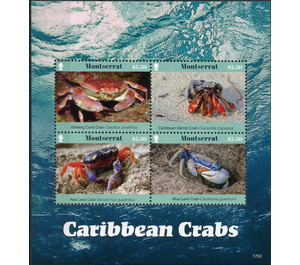 Caribbean Crabs - Caribbean / Montserrat 2017