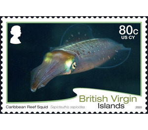 Caribbian Reef Squid (2020 Imprint Date) - Caribbean / British Virgin Islands 2020 - 80