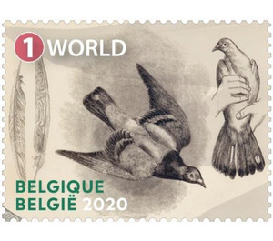 Carrier Pigeons - Belgium 2020 - 1