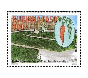 Carrots - West Africa / Burkina Faso 2011 - 100