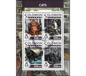 Cats - Melanesia / Solomon Islands 2017