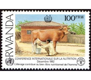Cattle (Bos primigenius taurus) - East Africa / Rwanda 1992 - 100