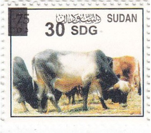 Cattle Surcharged - North Africa / Sudan 2020