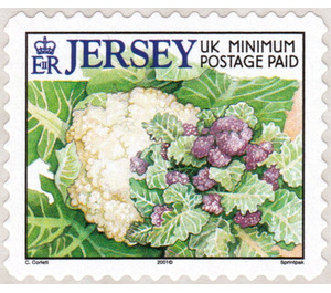 Cauliflower and purple-sprouting broccoli - Jersey 2001