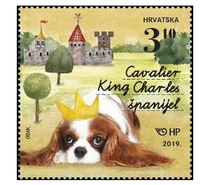 Cavalier King Charles Spaniel - Croatia 2019 - 3.10