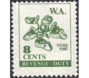 Cephalotus follicularis (Pitcher plant) - Western Australia 1966