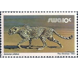 Cheetah (Acinonyx jubatus) - South Africa / Namibia / South-West Africa 1989 - 10