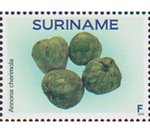 Cherimoya (Annona cherimola) - South America / Suriname 2020