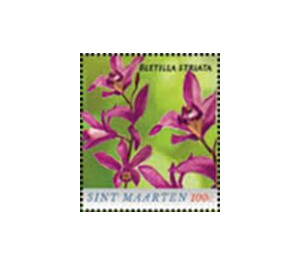 Chinese ground orchid (Bletilla striata) - Caribbean / Sint Maarten 2020