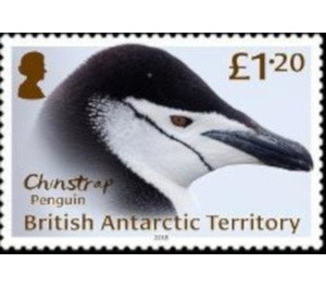 Chinstrap Penguin - British Antarctic Territory 2018 - 1.20