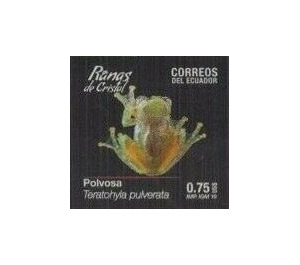 Chiriqui Glass Frog (Teratohyla pulverata) - South America / Ecuador 2019 - 0.75