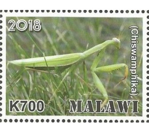 Chiswamphika - East Africa / Malawi 2019 - 700