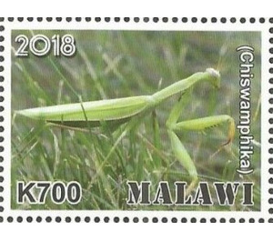Chiswamphika - East Africa / Malawi 2019 - 700