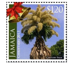 Christmas 2013 - Century Palm - Caribbean / Jamaica 2013 - 120