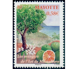 Citrus sinensis - East Africa / Mayotte 2011 - 0.58