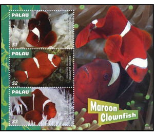 Clownfish - Micronesia / Palau 2019