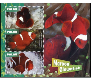 Clownfish - Micronesia / Palau 2019