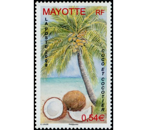 Coconut and coconut tree - East Africa / Mayotte 2008 - 0.54