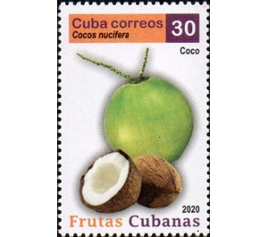 Coconut - Caribbean / Cuba 2020