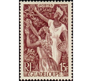 Coffee - Caribbean / Guadeloupe 1947 - 15