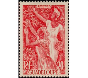 Coffee - Caribbean / Guadeloupe 1947 - 20