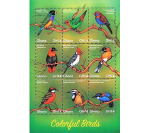 Colorful birds - West Africa / Ghana 2017