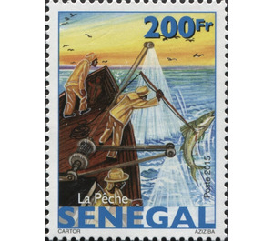 Commercial Fishing In Senegal - West Africa / Senegal 2016 - 200