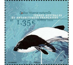 Commerson's Dolphin (Cephalorhynchus commersonii) - French Australian and Antarctic Territories 2020 - 1.35