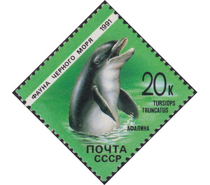 Common Bottlenose Dolphin (Tursiops truncatus) - Russia / Soviet Union 1991 - 20