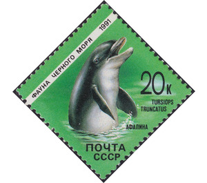 Common Bottlenose Dolphin (Tursiops truncatus) - Russia / Soviet Union 1991 - 20