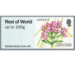 Common Centaury - Jersey 2020