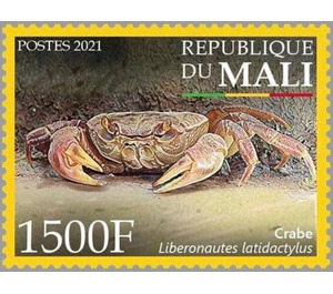 Common Creek Crab (Liberonautes latidactylus) - West Africa / Mali 2021