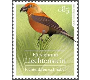 Common Crossbill (Loxia curvirostra) - Liechtenstein 2021 - 85