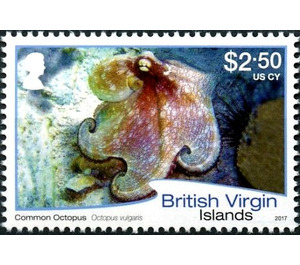 Common Octopus - Caribbean / British Virgin Islands 2017 - 2.50