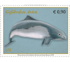 Common Porpoise (Phocoena phocoena) - UNO Vienna 2020 - 0.90