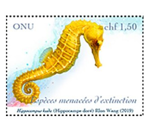 Common Seahorse (Hippocampus kuda) - UNO Geneva 2019 - 1.50