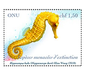 Common Seahorse (Hippocampus kuda) - UNO Geneva 2019 - 1.50