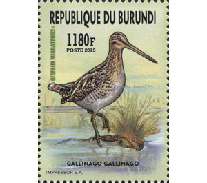 Common Snipe (Gallinago gallinago) - East Africa / Burundi 2016