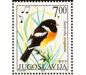 Common Stonechat (Saxicola torquata) - Yugoslavia 2002 - 7