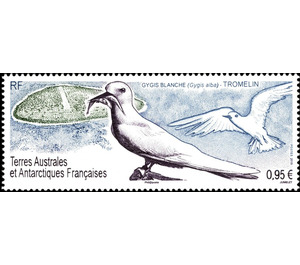 Common White Tern (Gygis alba) - French Australian and Antarctic Territories 2019 - 0.95